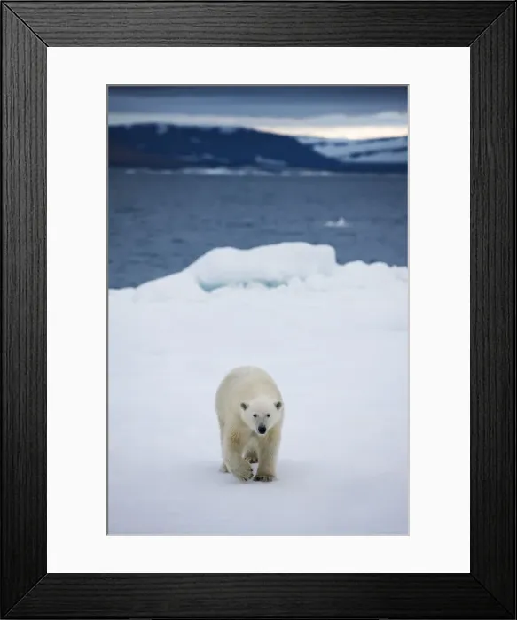 Framed Print : DDE-90033788 Framed Print : DDE-90033788