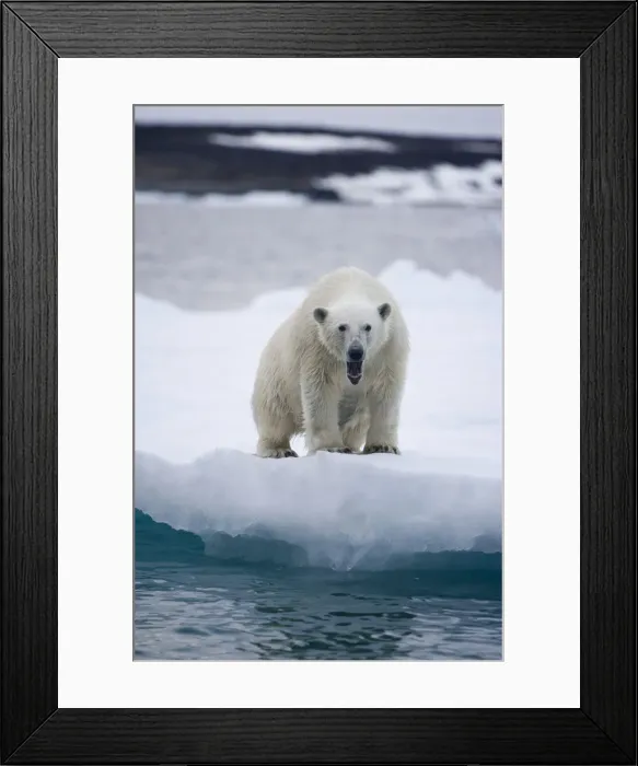 Framed Print : DDE-90033789 Framed Print : DDE-90033789