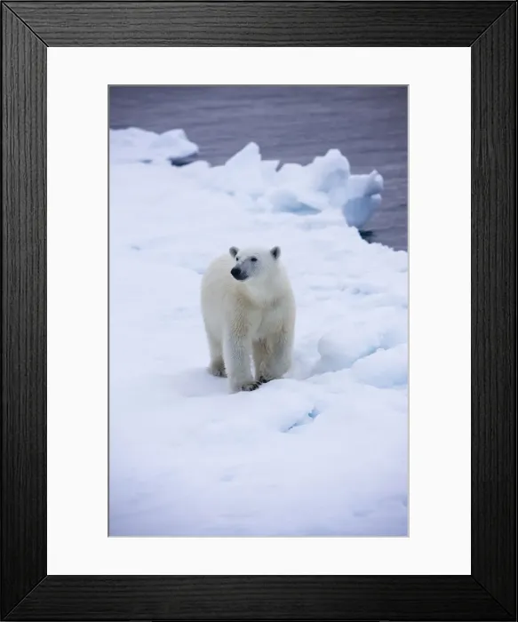 Framed Print : DDE-90033787 Framed Print : DDE-90033787