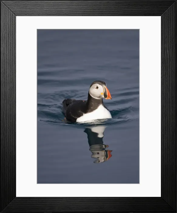 Framed Print : DDE-90033790 Framed Print : DDE-90033790