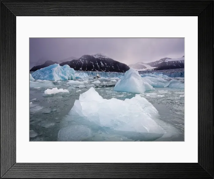 Framed Print : DDE-90033805 Framed Print : DDE-90033805