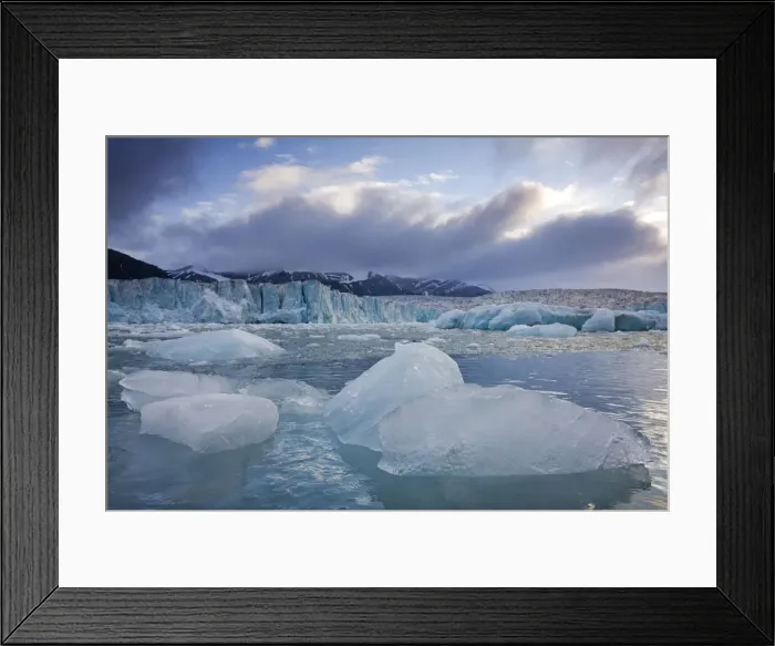 Framed Print : DDE-90033807 Framed Print : DDE-90033807
