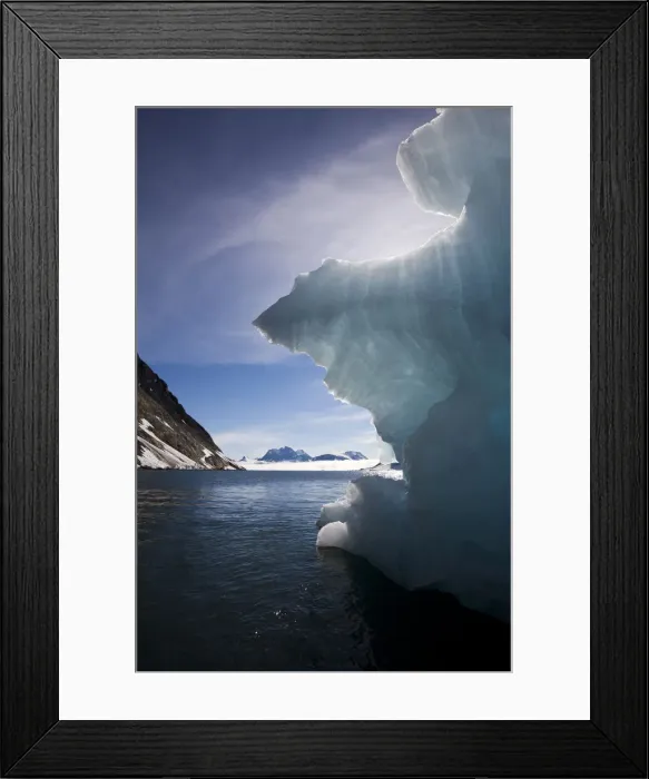 Framed Print : DDE-90033825