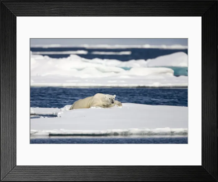 Framed Print : DDE-90033836 Framed Print : DDE-90033836