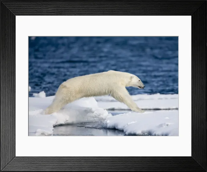 Framed Print : DDE-90033840