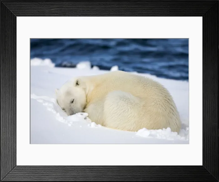 Framed Print : DDE-90033839