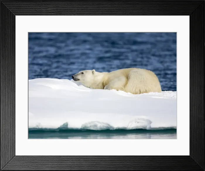 Framed Print : DDE-90033842 Framed Print : DDE-90033842