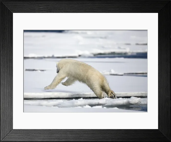 Framed Print : DDE-90033841