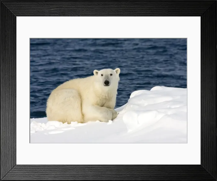 Framed Print : DDE-90033844