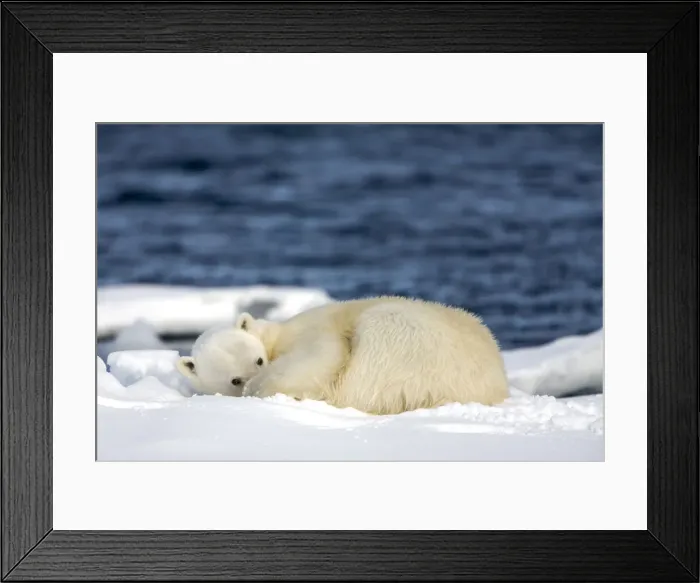 Framed Print : DDE-90033843 Framed Print : DDE-90033843