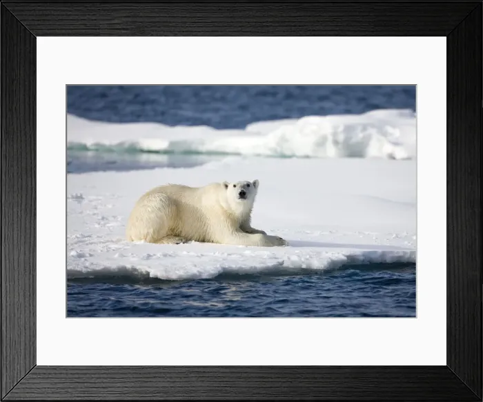 Framed Print : DDE-90033845 Framed Print : DDE-90033845