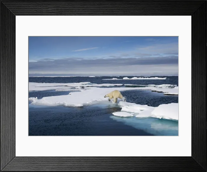 Framed Print : DDE-90033846 Framed Print : DDE-90033846