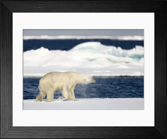 Framed Print : DDE-90033848 Framed Print : DDE-90033848