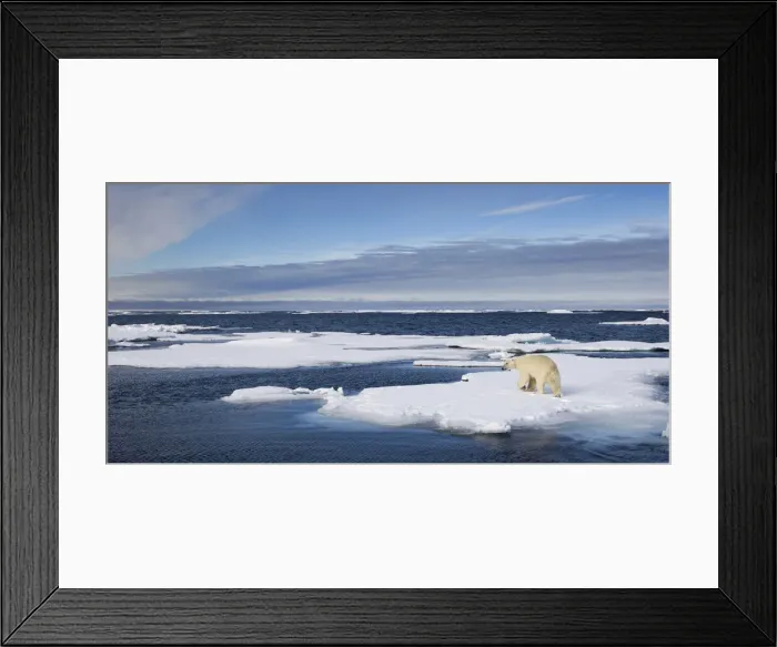 Framed Print : DDE-90033847 Framed Print : DDE-90033847