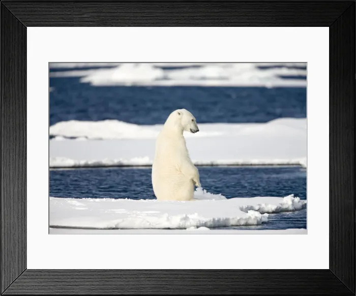 Framed Print : DDE-90033849 Framed Print : DDE-90033849