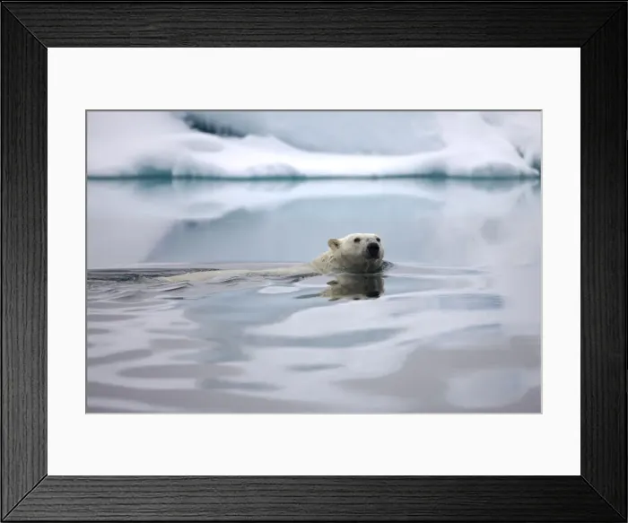 Framed Print : DDE-90033854 Framed Print : DDE-90033854