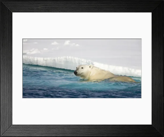 Framed Print : DDE-90033853 Framed Print : DDE-90033853
