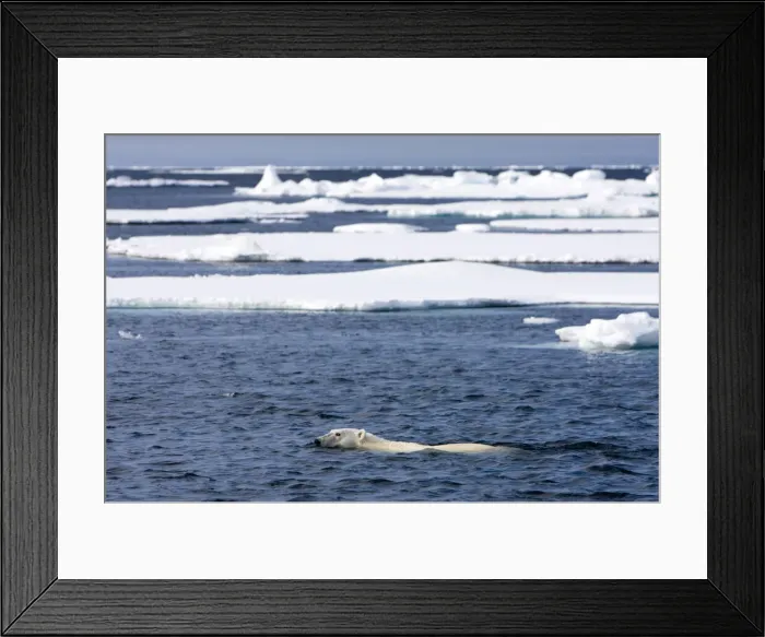 Framed Print : DDE-90033855 Framed Print : DDE-90033855