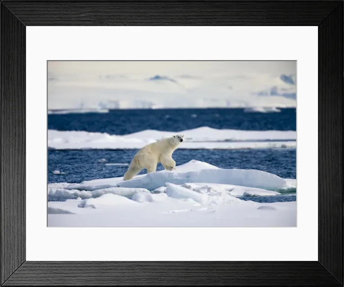 Framed Print : DDE-90033856 Framed Print : DDE-90033856