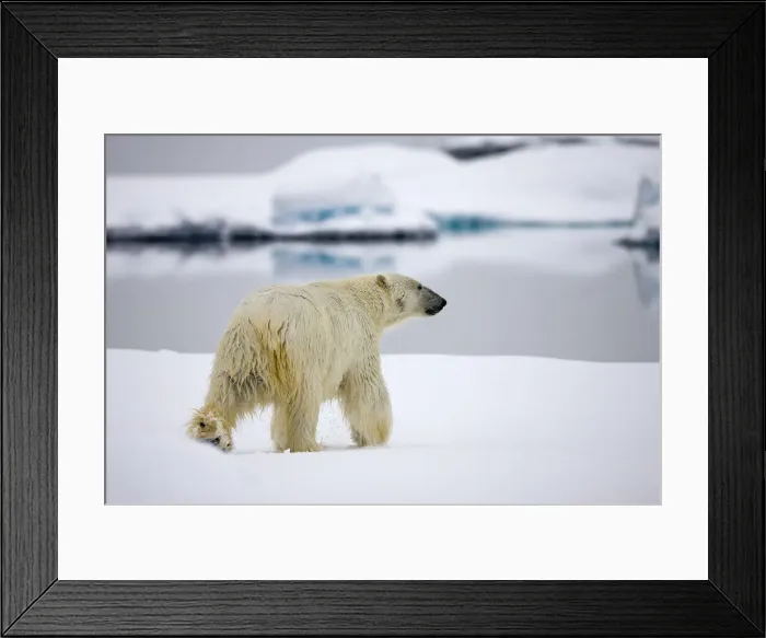 Framed Print : DDE-90033857