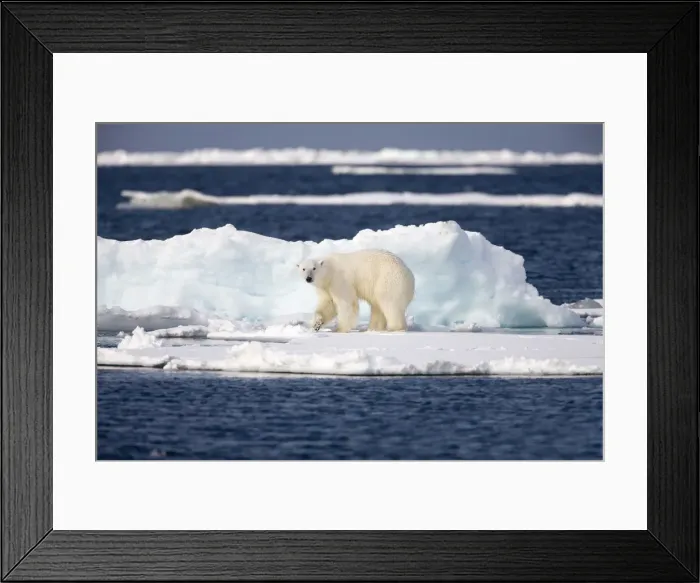 Framed Print : DDE-90033861 Framed Print : DDE-90033861