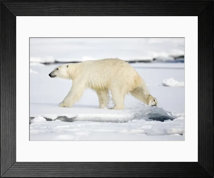 Framed Print : DDE-90033860 Framed Print : DDE-90033860
