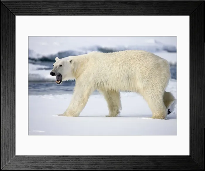 Framed Print : DDE-90033863 Framed Print : DDE-90033863