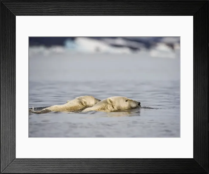 Framed Print : DDE-90033865 Framed Print : DDE-90033865