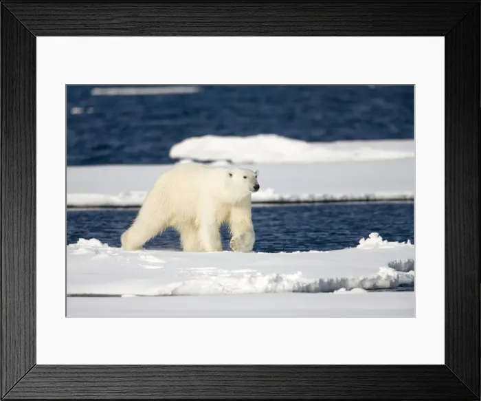 Framed Print : DDE-90033862 Framed Print : DDE-90033862