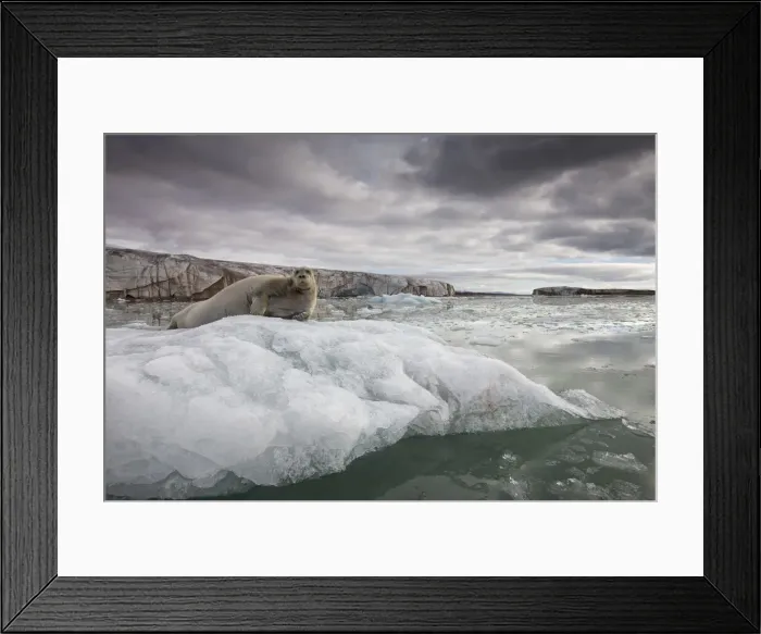 Framed Print : DDE-90033868