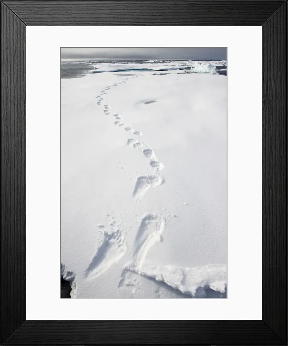 Framed Print : DDE-90033874 Framed Print : DDE-90033874
