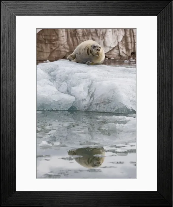 Framed Print : DDE-90033880 Framed Print : DDE-90033880