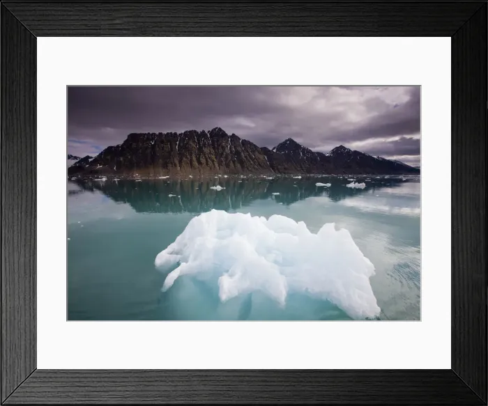 Framed Print : DDE-90033887 Framed Print : DDE-90033887