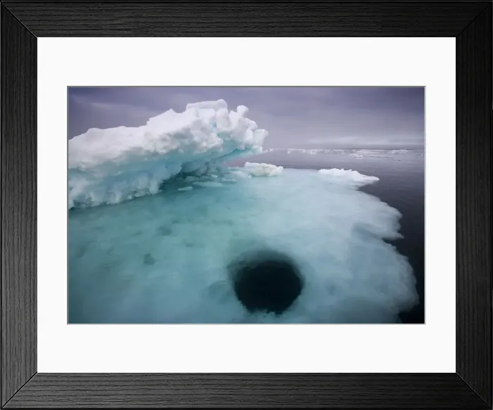 Framed Print : DDE-90033901 Framed Print : DDE-90033901