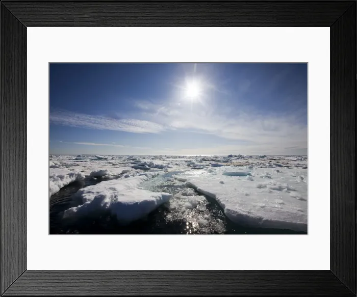 Framed Print : DDE-90033900 Framed Print : DDE-90033900