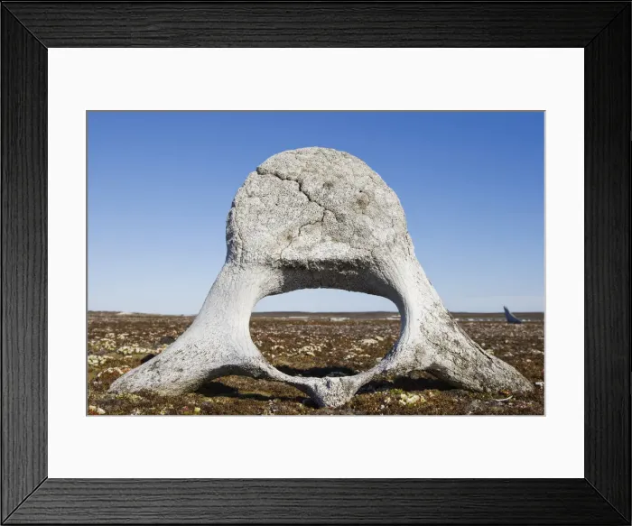 Framed Print : DDE-90033904 Framed Print : DDE-90033904