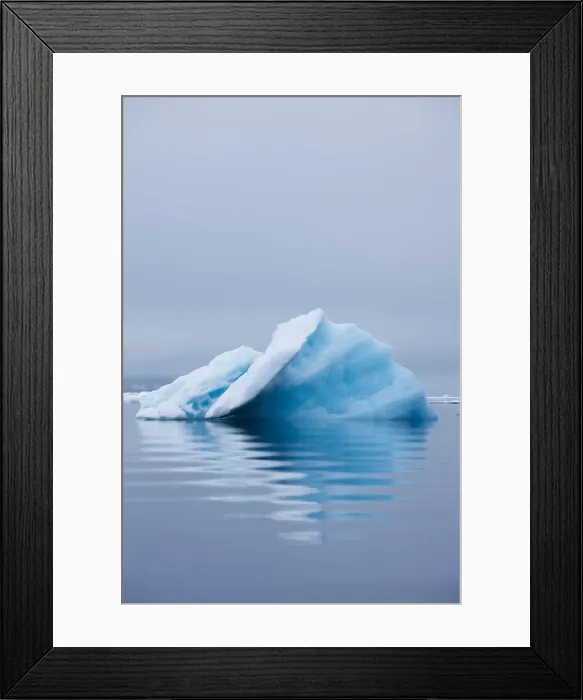 Framed Print : DDE-90033933