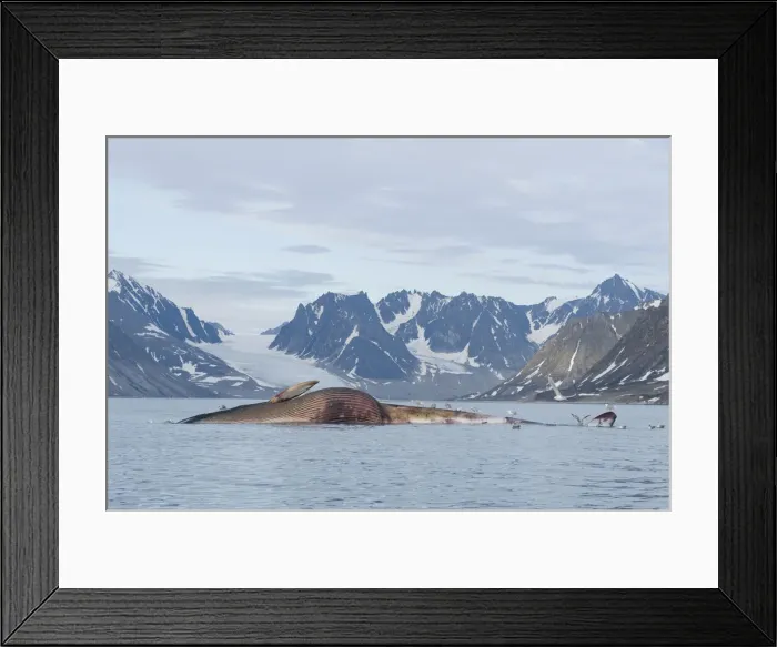 Framed Print : DDE-90033946 Framed Print : DDE-90033946