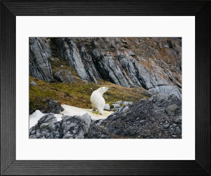 Framed Print : DDE-90033949 Framed Print : DDE-90033949