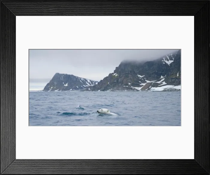 Framed Print : DDE-90033951 Framed Print : DDE-90033951