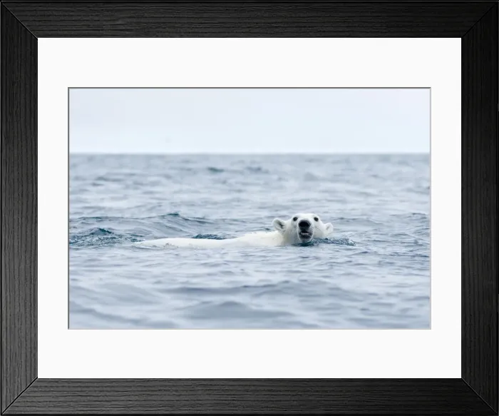 Framed Print : DDE-90033950 Framed Print : DDE-90033950