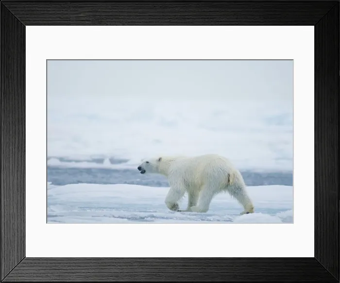 Framed Print : DDE-90033953 Framed Print : DDE-90033953