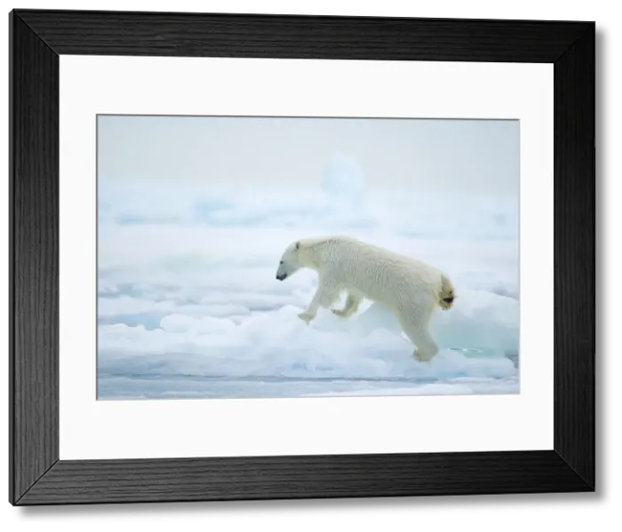 Framed Print : DDE-90033954 Framed Print : DDE-90033954