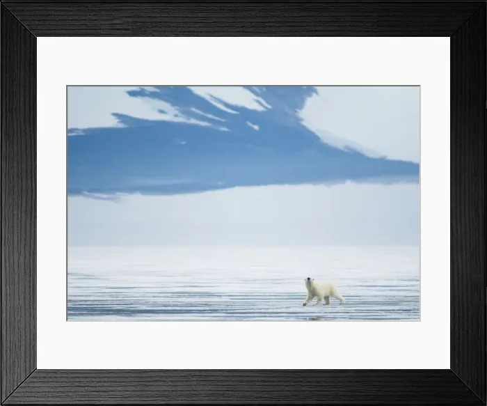 Framed Print : DDE-90033955 Framed Print : DDE-90033955