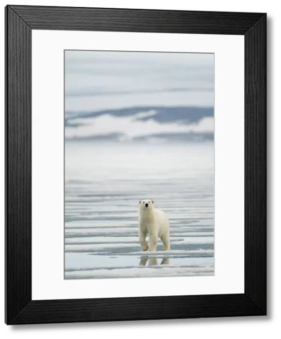 Framed Print : DDE-90033957 Framed Print : DDE-90033957