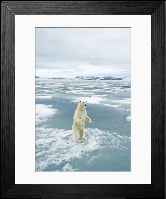 Framed Print : DDE-90033959 Framed Print : DDE-90033959