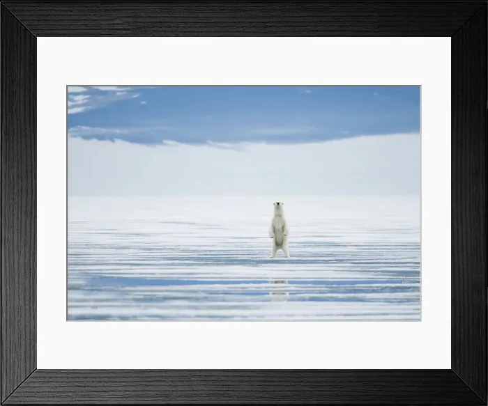 Framed Print : DDE-90033956 Framed Print : DDE-90033956