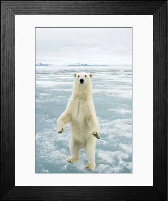 Framed Print : DDE-90033960 Framed Print : DDE-90033960
