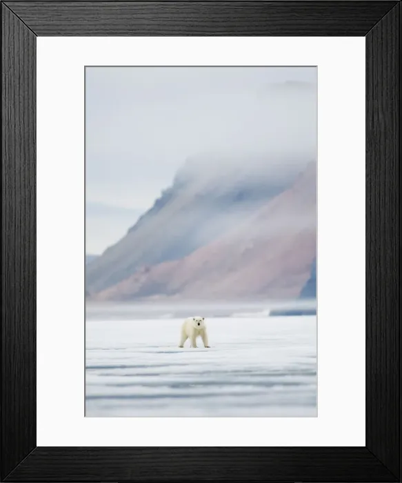 Framed Print : DDE-90033961 Framed Print : DDE-90033961