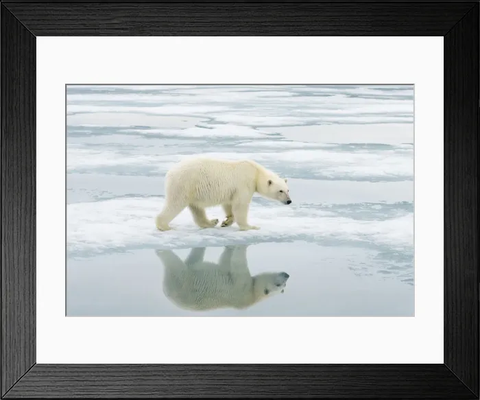 Framed Print : DDE-90033962 Framed Print : DDE-90033962